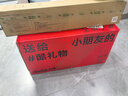 九号（Ninebot）电动平衡车成人L8白色多模式操控10英寸越野轮胎9号平衡车 实拍图