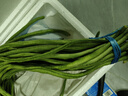 【超市品质】新鲜农家长豆角豇豆角腌制泡菜早餐生鲜蔬菜豆角子 产地直发现摘 2斤 实拍图