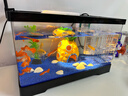 贝初众鱼缸一体缸生态鱼缸客厅桌面底滤鱼缸免换水小金鱼溪流缸水族箱 黑色【豪华过滤套餐】 新手免换水轻松养鱼 超高清透光全景观赏 实拍图