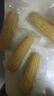 东北黄糯玉米真空包装速食玉米软糯香甜代餐小棒140g-180g 5根装 实拍图