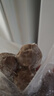 海霸王潮汕牛肉丸200g*5袋2斤肉含量90%+火锅食材关东煮丸子烧烤麻辣烫 实拍图