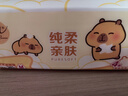 清风（APP）抽纸 卡皮巴拉卡通4层90抽*20包M码 卫生纸 纸巾纸抽 面巾纸 整箱 实拍图
