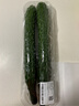 【水果菜】紫溪山嫩黄瓜约550g 实拍图