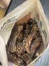 ZEAL狗狗主食罐头390g羊肉口味 成犬幼犬通用湿粮狗粮新西兰原装进口 实拍图