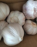 京鲜生云南紫皮鲜蒜 净重5斤 大果4.5-5cm湿蒜带泥大蒜多瓣蒜 源头直发 实拍图