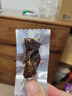 张飞 风干牛肉麻辣味200g  内蒙古风味特产旅游小吃 麻辣休闲零食 实拍图
