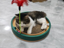 疯狂的主人 猫抓板窝超大号圆形不掉屑耐磨一体猫窝磨爪猫咪玩具 实拍图