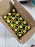维他奶维他鸭屎香柠檬茶500ml*15瓶 整箱装 中秋礼品分享装 日期5月特价 实拍图