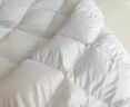 源生活 防钻绒 100%白鸭毛羽毛被子 双人秋冬被芯 8斤 220*240cm 白色 实拍图