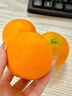甜萌果蔬四川爱媛38号果冻橙当季柑橘冰糖橙子桔子新鲜水果礼盒中秋送礼 6A级精品果丨单果65-70mm【香甜】 5斤装【热销超划算丨30年老树果】净4.5斤 实拍图