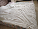 桐乡100%桑蚕丝被芯纯手工天然蚕丝被优质长丝四季被秋冬被子母被 桑蚕丝净重3斤(总重约5斤） 160x210cm【白色全棉】 实拍图