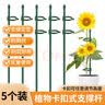 芷郁植物支撑杆花架防倒伏支架园艺吊兰月季架子绿植爬藤架 45cm5支 实拍图