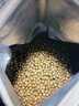 GO！SOLUTIONS无谷三种鱼全猫粮8磅/3.63kg多肉成猫幼猫通用原装进口  新鲜效期 实拍图