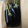 寿光农家紫茄子紫茄新鲜现摘生鲜超市蔬菜烧烤搭档 五斤绿把茄子 5斤 实拍图