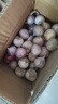 志褚独头蒜大蒜头 2024云南大理紫皮独蒜 精品新鲜现挖湿蒜 1斤装【小果2.2-2.5cm】 实拍图