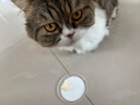 皇家室内成猫粮 I27 通用粮 12月以上 4.5KG 实拍图