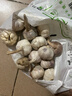 紫白皮蒜水果大蒜超市即食生鲜蔬菜大蒜 特价带箱 1斤 单果3.5-5cm 实拍图