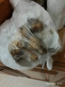 森吉尼达【现货】香格里拉新鲜松茸现采现发野出口级未开伞生云南松茸菌菇 松茸 5-7CM 净重500g 实拍图