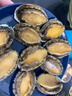 森农乐鲍鱼鲜活冷冻特大生鲜大号贝类海鲜水产超大即食佛跳墙食材鲍鱼汁 14-15只/斤【中大鲍鱼1斤 精品尝鲜】 实拍图