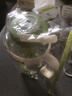 【京东物流】水杯冰霸吸管杯高颜值学生茶水分离大容量杯子 肚肚杯1个-浅绿色 实拍图