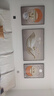 Sixpoetry 客厅装饰画现代简约沙发背景墙壁画轻奢三联晶瓷画大气高档挂画 福禄生花（铝合金外框） 晶瓷画左右60*80+中间120*80亮面 实拍图