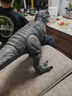 Jurassic World圣诞新年礼物电影周边男孩-侏罗纪世界大电影之巨型霸王龙JGB52 实拍图