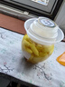 云山半枸杞泡姜芽500g 山东泡嫩姜仔姜芽生姜腌菜下饭菜泡菜 实拍图