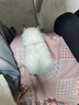 雪中飞秋冬新款情侣立领轻薄羽绒服休闲短款鸭绒保暖羽绒服 宝石黑|8086 XL 180/100A 实拍图