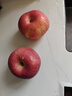 洛川苹果陕西延安特产红富士时令苹果水果礼盒送苹果生鲜新鲜脆甜整箱批发 净重8.5斤85-90mm铂金特大果脆甜 实拍图