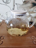 四季茶壶烧水壶高硼硅玻璃电凉水壶大容量升级加厚 四季茶壶1L（无底座） 实拍图