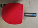 729NEO新729-2乒乓球胶皮乒乓球拍反胶套胶友谊粘性正手胶皮 新729-2 红色 42度 实拍图