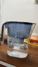 飞利浦（PHILIPS）净水壶 滤水壶 家用净水器 厨房自来水过滤器 滤水器 过滤器滤芯 便携净水杯 AWP2814蓝色/白色 蓝1壶7芯【专家版】 实拍图