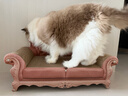 梵都宠舍猫抓板猫窝一体大号豪华贵妃躺椅猫玩具猫沙发 实拍图