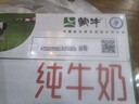 蒙牛全脂纯牛奶250ml*16盒 牛奶送礼盒装 电商定制 部分地区7月 实拍图