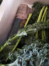 羽衣甘蓝新鲜生鲜蔬菜嫩叶甘兰芥蓝西餐沙拉榨汁减肥减脂 羽衣甘蓝闺蜜2斤装 实拍图