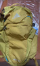 GREGORY格里高利 NANO蜂鸟 男女旅行户外徒步背包登山包通勤双肩背包18L 18L-砂石黄（25年新款） 实拍图