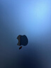 Apple/苹果 iPad11英寸 A16芯片2025年款 平板电脑 (256GB WLAN版/学习办公娱乐)蓝色 实拍图