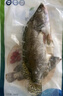 仙泉湖三去桂花鱼1斤单条净膛鳜鱼冷冻季花鱼鳌花生鲜食材海鲜水产 实拍图