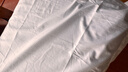 源生活 轻奢长绒棉枕头套 纯棉枕芯套 白色一对装 48*74cm 实拍图