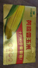 十月稻田 黄糯香玉米 3.52斤(220g*8根) 东北玉米棒 早餐 中秋礼盒 零食 实拍图