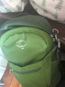 OSPREY 日光plus 20L双肩包 带袋鼠仓 户外通勤电脑包 绿色 实拍图