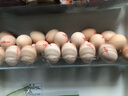 密农人家新鲜土鸡蛋 正宗农家土鸡蛋 生鲜鸡蛋 柴鸡蛋农家笨鸡蛋包邮 90枚 实拍图