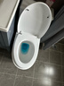 沐唯（muvi）马桶盖通用u型加大马桶圈配件加厚坐便盖子厕所老式缓降座垫盖板 实拍图