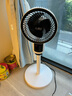 扬子电风扇家用空气循环扇落地扇遥控电风扇家用电扇立式摇头遥控办公室桌面风扇 【年度金榜】升级远程遥控 实拍图