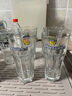 爱丁戈原装进口品牌啤酒杯子集合精酿啤酒杯 比利时戈登大龙啤酒杯 330mL 实拍图