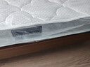 顾家家居京东家具天然乳胶床垫独袋弹簧席梦思梦想垫旗舰1.5x2米京仓闪发 实拍图