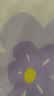 雅鹿水洗棉印花被套150x200cm单件磨毛卡通被罩被单宿舍单人三四件套 蜜桃女孩【抗菌亲肤 适合裸睡】 150*200cm【单被套】 实拍图