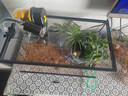 爬将军 乌龟缸特大号 玻璃造景晒台草龟大型养龟箱盆别墅家用生态龟缸 50cm缸【餐三】双流水晒台13件套 实拍图