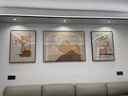 恋之屋 客厅装饰画2026沙发背景墙现代简约三联画客厅挂画大气轻奢壁画 光影交织 G 左右40x60+中间80x60/晶瓷画 实拍图