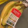 进口高地花皮超甜蕉650g 实拍图